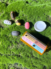 Load image into Gallery viewer, FULL SET of isopod pins