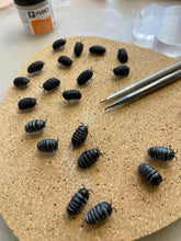 Load image into Gallery viewer, Isopod Earrings
