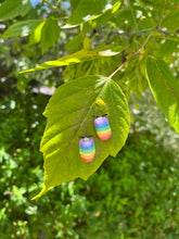 Load image into Gallery viewer, Rainbow Isopod Earrings

