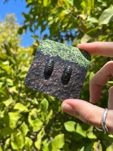 Load image into Gallery viewer, Isopod Earrings
