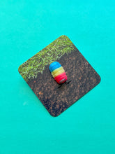 Load image into Gallery viewer, Pride Isopod Pin

