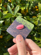 Load image into Gallery viewer, Isopod Pin
